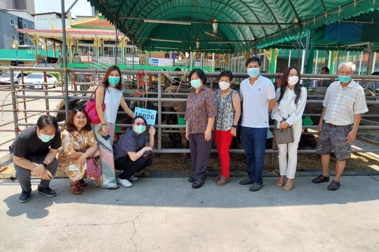 ประมวลภาพ พิธีไถ่ชีวิตโค-กระบือ ประจำเดือนพฤษภาคม พ.ศ. 2566