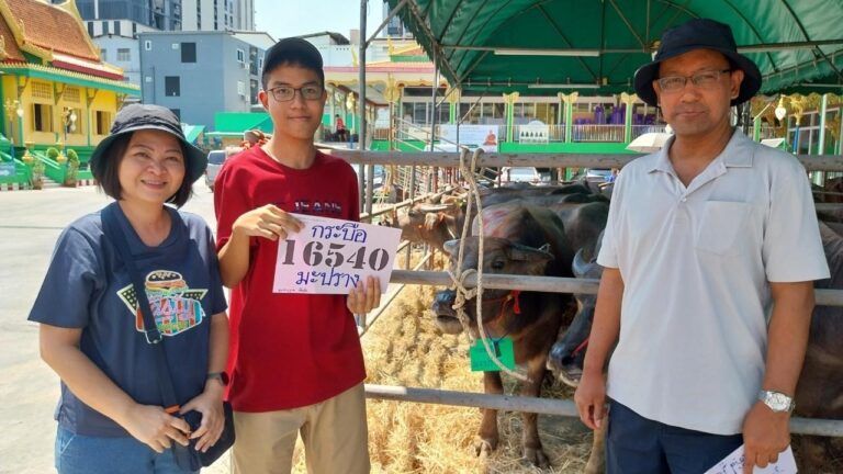 ในวันอาทิตย์ที่ 17 มีนาคม 2567 เวลา 14.00 น. ณ วัดลุ่มเจริญศรัทธา ทางคณะผู้ร่วมบุญและครอบครัว ที่ได้บริจาคเงินไถ่ชีวิตโค-กระบือ จำนวน 60 ชีวิต